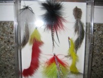 Pike Fishing Fly Collections